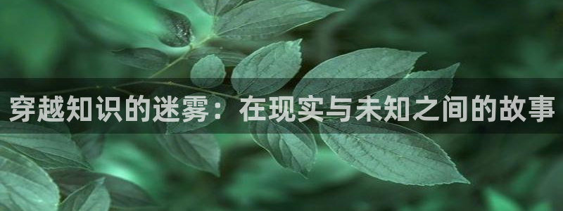 冰与火之歌 同人小说：穿越知识的迷雾：在现实与未知之间的故事