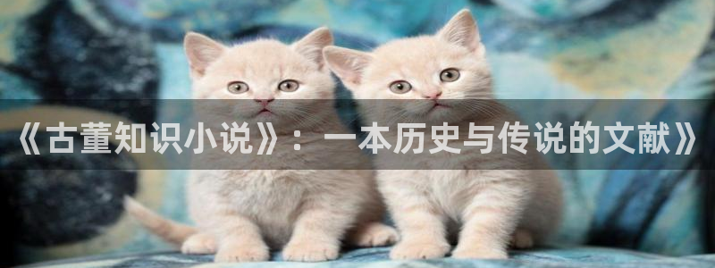 元尊同人小说：《古董知识小说》：一本历史与传说的文献》