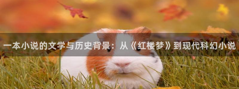 最火的同人小说：一本小说的文学与历史背景：从《红楼梦》到现代科幻小说