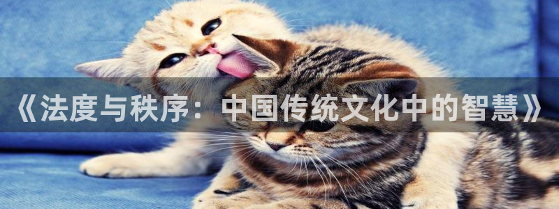 大王饶命的同人小说：《法度与秩序：中国传统文化中的智慧》